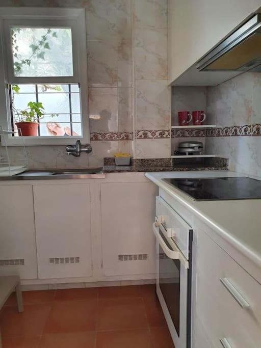 Apartamento Luminoso Con Patio Y Jardin Пуерто-де-ла-Крус Екстер'єр фото