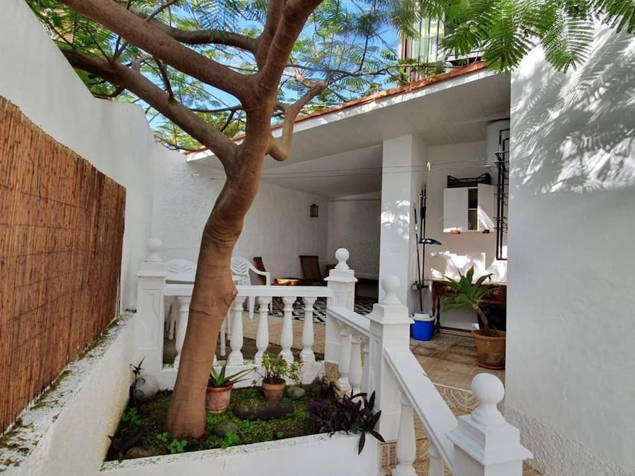 Apartamento Luminoso Con Patio Y Jardin Пуерто-де-ла-Крус Екстер'єр фото